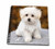 3D Rose Maltese. Cute Little Puppy. Drawing Book