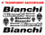 Bianchi Decals Stickers Bicycle Frame Replacement Graphic Set  1