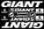 TopBikeDecals Giant Decals Stickers Bicycle Frame Replacement Graphic Set  1