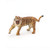 Papo Roaring Tiger Figure, Multicolor