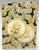 Sacagawea Folder 2005-2008 WHC8HRS2943