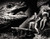 Posterazzi DAP14477 Carole Landis - One Million B.C. with Lizard Photo Print, 10 x 8, Multi