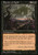 Magic: the Gathering - Blanket of Night - Visions
