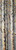 Posterazzi Collection Blossoming Birches Poster Print by Atelier B Art Studio (8 x 24)