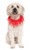 Rubie's Costume Co Fancy Red Pet Collar, Medium/Large