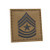 Coyote IR 2x2 US Army E-9 SGM Sergeant Major Rank Tactical Hook and Loop Patch
