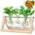Desktop Plant Terrarium with 3 PCS Glass Air Planter Bulb Vase,Plant Propagation Stations with Solid Wooden Stand  and  Metal Swivel Holder for Hydroponics Plants Home Garden Wedding Office Decor