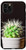 iPhone 11 Pro Cactus Pot Cacti Succulent Garden Cool Plant Lover Gifts Case