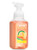 Bath Body Works Gentle Foaming Hand Soap Malibu Sunset