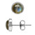 Silvershake 6mm Natural Round Shape Labradorite White Gold Plated 925 Sterling Silver Stud Post Earrings