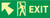 NMC GL311P EXIT Sign  14 in. x 5 in. 6 Hour Glow Polyester Safety Sign with Yellow on Glow Green, Person Walking Through Doorway, Left Arrow Graphic