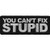 You Can't Fix Stupid Patch - 4x1.5 inch. Embroidered Iron on Patch