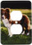 3dRose lsp_1262_6 Border Collie Tan And White 2 Plug Outlet Cover