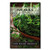 Sow Right Seeds - Arugula Seed for Planting - 900 Non-GMO Heirloom Seeds Per Packet with Instructions to Plant a Kitchen Herb Garden, Indoors or Outdoor; Great Gardening Gift