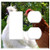 2-Gang, Rocker/GFCI Outlet Combination Wall Plate Cover - Cock The Hen Chicken Village Bird Pen Animal