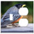 2-Gang, Toggle Outlet Combination Wall Plate Cover - Merle Bird Nature Animals Pen Beak Birds 2-Gang, Toggle Outlet Combination Wall Plate Cover - Merle Bird Nature Animals Pen Beak Birds