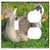 2-Gang, Toggle Outlet Combination Wall Plate Cover - Goose Bird Nature Pen Beak Grass Wild Birds