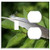 2-Gang, Toggle Outlet Combination Wall Plate Cover - Pen Feather Pigeon Stosina Green Gray Foliage