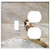 2-Gang, Toggle Outlet Combination Wall Plate Cover - Birds Nature Animals Pen