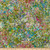 QT Quilt Fabrics Digital Illuminations Evolution Olive