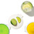 OXO Good Grips Cut  and  Keep Citrus Saver Set, Lemon/Lime,Multicolor,One size