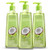 Care Touch Moisturizing Liquid Hand Soap, Antibacterial Gentle Value Pack Hand Wash Hand Soap, Fresh Coconut Lime Scent - 13.5 oz (3 Pack)
