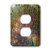 3dRose lsp_23534_6 Hawaii Peacock Ii 2-Plug Outlet Cover