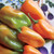Burpee Habanero Hot Pepper Seeds 75 seeds