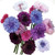 Burpee Tall Double Mixed Colors Cornflower Seeds 250 seeds