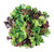 Burpee Fordhook Favorites Blend Lettuce Seeds 500 seeds