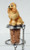 Apricot Poodle Wine Bottle Stopper from Conversation Concepts DTB01C