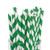 Fun Express Green Striped Paper Straws (24 Pack)