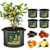 T4U Fabric Plant Grow Bags with Handles 10 Gallon Pack of 5, Heavy Duty Nonwoven Smart Garden Pot Thickened Aeration Nursery Container Black for Outdoor Potato, Tomato, Chili, Carrot and Vegetables