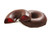 Fruidles Chocolate Covered Raspberry Jelly Rings, Kosher for Passover, Gluten Free (8 Oz)
