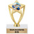 Crown Awards 6 inch Gold Handball Trophy - Handball Star Trophy Prime