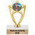 Crown Awards 6 inch Gold Lacrosse Trophy - Customized Lacrosse Star Trophy Prime