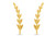 Ear Crawler Cuff Earrings 14k Yellow Gold Over Sterling Silver Ear Climber Studs Olive Leaf