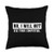 Programmer Nerd Computer Geek Coder Gifts Pillows No I Will Not Fix Your Computer Programmer Xmas Gift Throw Pillow, 18x18, Multicolor