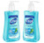 Dial Hand Wash Spring Water Liquid Hand Soap, 7.5 Fl oz with Pump (Pack of 2 Bottle)