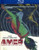 Amer  Blu-ray