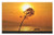 Ambesonne Tree Doormat, Lonely Sunset Tree by The Sea Sun Disappears and Day Fades Down Twilight Concept Print, Decorative Polyester Floor Mat with Non-Skid Backing, 30 inch X 18 inch, Orange