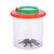 Alomejor Insect Viewer Cup 3x-6x Magnification Two Way Insect Bug Viewer for Kids Children