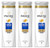 Pantene Shampoo Repair  and  Protect 12.6 Ounce (3 Pack)