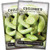 Sow Right Seeds - Armenian Pale Green Cucumber Seeds for Planting - Non-GMO Heirloom Seeds with Instructions to Plant and Grow a Home Vegetable Garden, Great Gardening Gift (2)