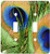 3dRose lsp_66288_2 Double Toggle Switch Multicolor