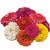 Burpee State Fair Mix Zinnia Seeds 100 seeds