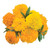 Burpee Sunset Giants Mix Marigold Seeds 300 seeds