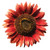 Burpee Chianti Sunflower Seeds 50 seeds