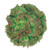 Burpee Prizeleaf Lettuce Seeds 500 seeds