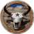 Thirstystone Stoneware Coaster Set, Cow Skull Western Star